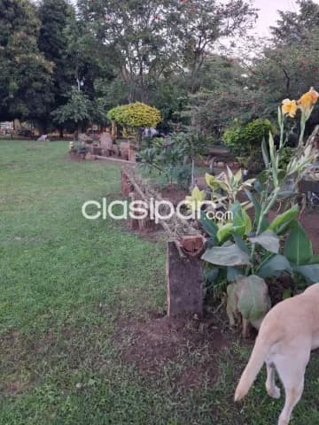 Estancia en arroyos y esteros, foto 3