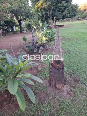 Estancia en arroyos y esteros, foto 5