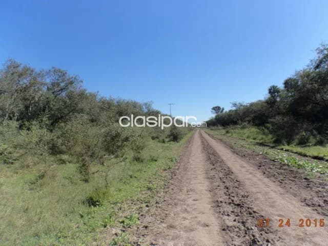 Estancia en villa hayes, foto 4