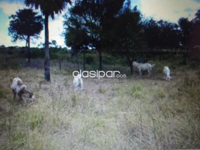 Estancia en pilar, foto 3
