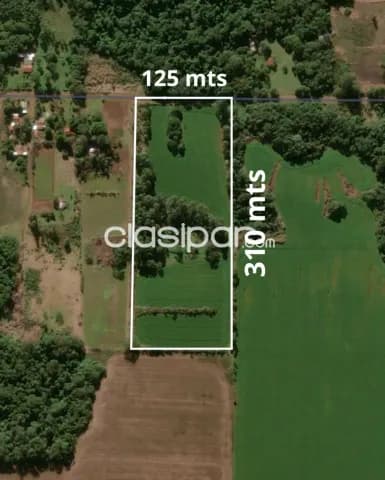 3.8 ha en Encarnacion, foto 3