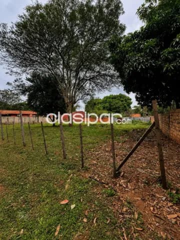 Terrenos en Ypané | 360 m² Cada Lote | A Media Cuadra del Asfalto, foto 3