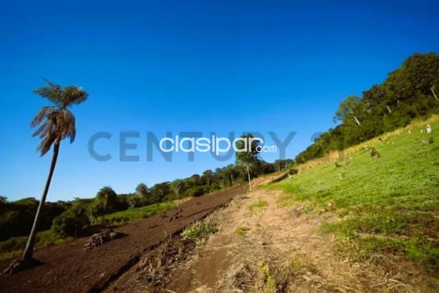 Exclusiva Oportunidad: Campo en Sapucai, Paraguarí, Ideal para Inversión y Desarrollo, foto 3