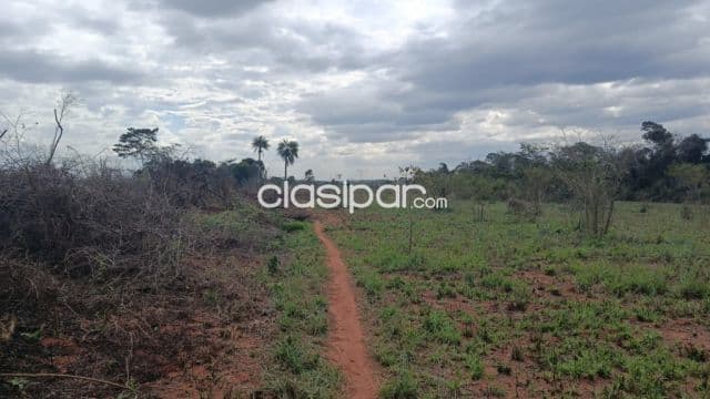 7 ha. De terreno, guayaiby san pedro apto para loteamiento, foto 1