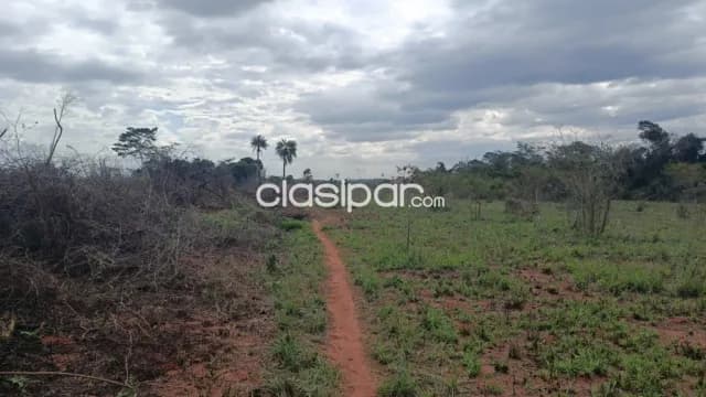 7 ha. De terreno, guayaiby san pedro apto para loteamiento, foto 2