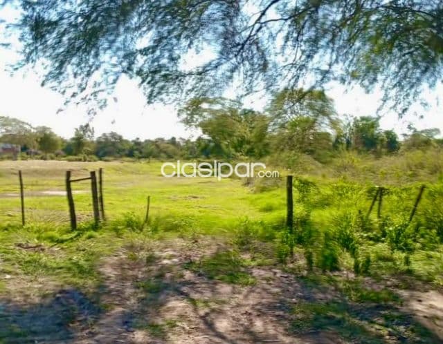 Terreno Rural en Jose Falcon - 10 Ha