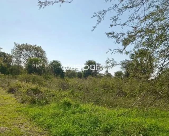 Terreno Rural en Jose Falcon - 10 Ha, foto 3
