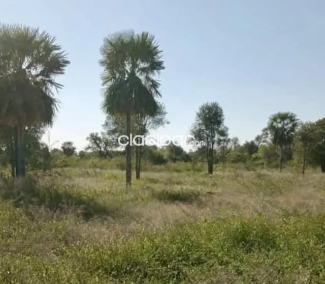 Terreno Rural en Jose Falcon - 10 Ha, foto 4