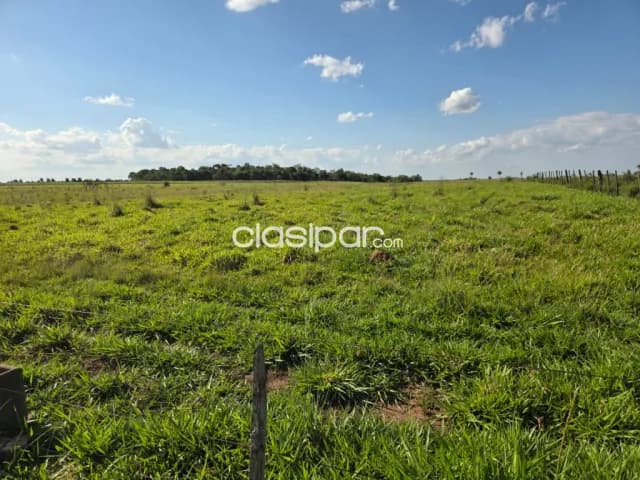 Campo Agrícola/Ganadero en Borja - 525 Ha, foto 2