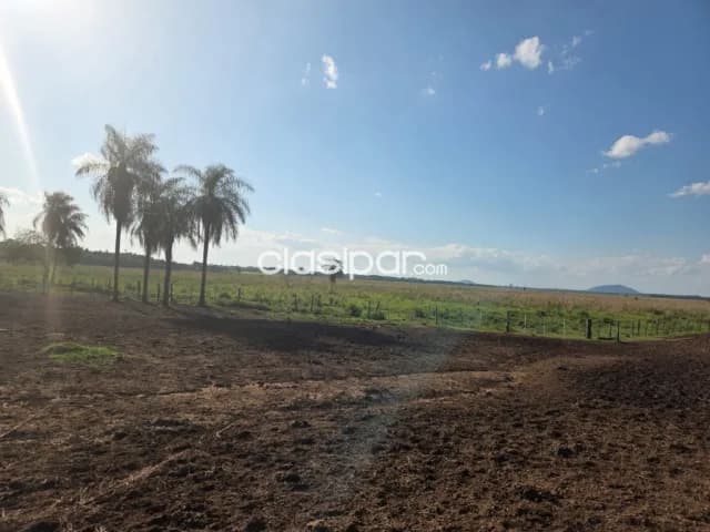 Campo Agrícola/Ganadero en Borja - 525 Ha, foto 3