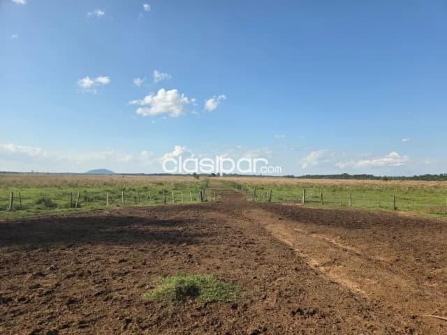 Campo Agrícola/Ganadero en Borja - 525 Ha, foto 4