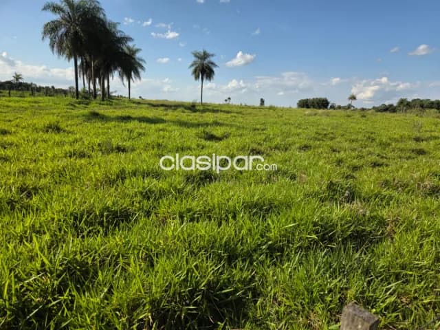 Campo Agrícola/Ganadero en Borja - 525 Ha, foto 5