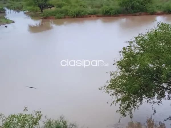 de Propiedad Rural – Mayor Pablo Lagerenza (Alto Paraguay), foto 3