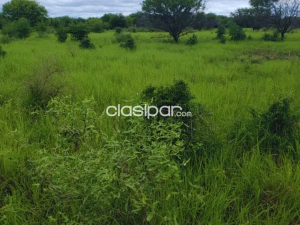 de Propiedad Rural – Mayor Pablo Lagerenza (Alto Paraguay), foto 5