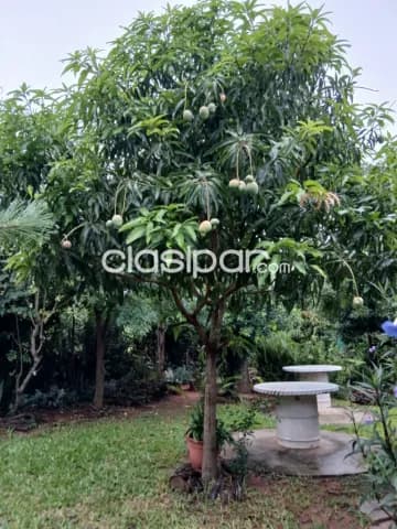 Casa en ypane, foto 5