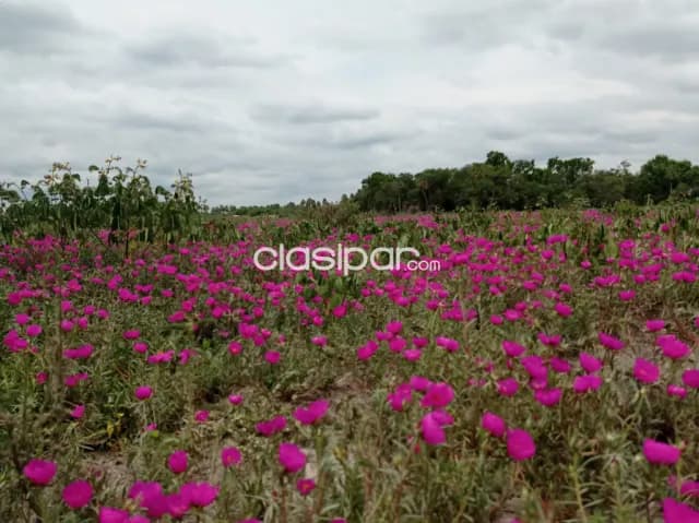 Estancia en villa hayes -chaco pyo, foto 4
