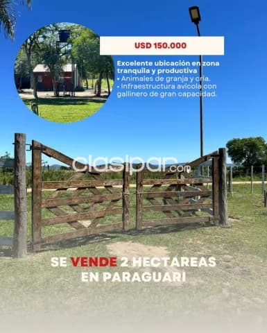 Paraguarí, excelente ubicación: 2 hectáreas altamente productiva + infraestructura gallin, foto 2