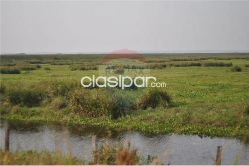 En venta campo de 540 has. En juan de mena, foto 3