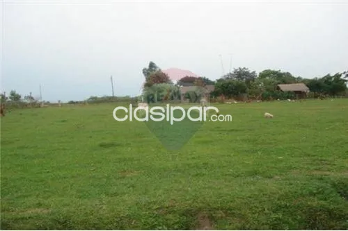 En venta campo de 540 has. En juan de mena, foto 4