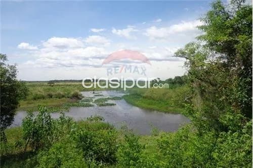 En venta campo de 540 has. En juan de mena, foto 5