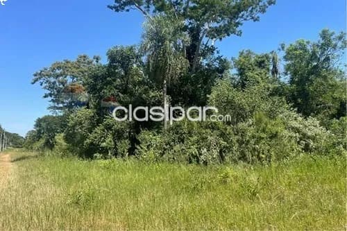 Terreno en Venta en Central Nueva Italia Takuara Takuara, foto 4