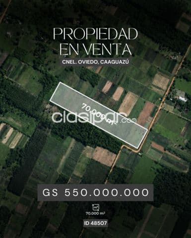 Terreno de 7 hectáreas en coronel oviedo, foto 1