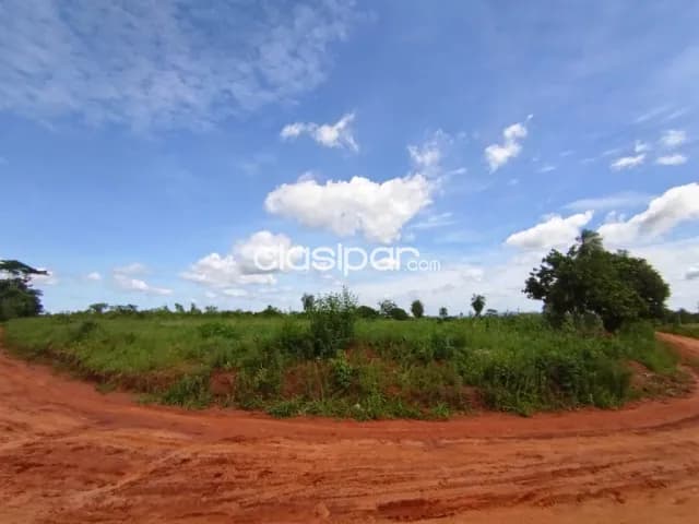 Terreno de 7 hectáreas en coronel oviedo, foto 3