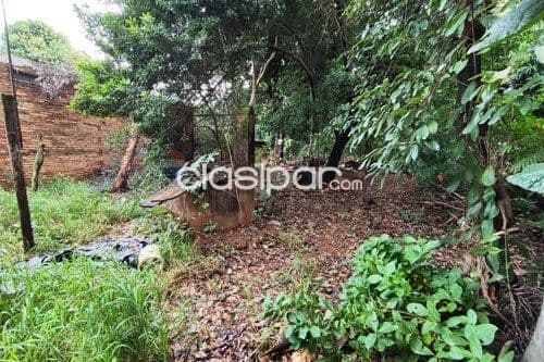 Terreno en Venta en Central Luque Campo Grande JUANA MARIA DE LARA