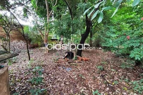 Terreno en Venta en Central Luque Campo Grande JUANA MARIA DE LARA, foto 3