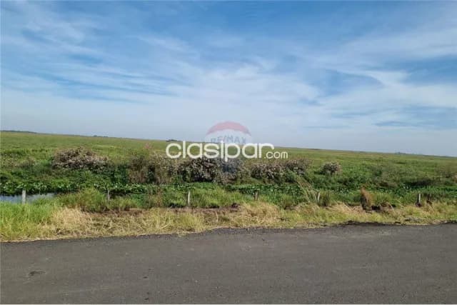 Campo ideal p/desarrollo agro-ganadero 540 hectareas en juan de mena-dpto.cordillera, foto 5