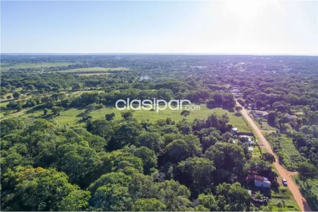 En venta – terreno de 3 hectáreas en Luque, foto 4