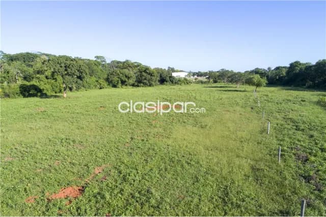 En venta – terreno de 3 hectáreas en Luque, foto 5