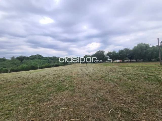 En venta – 2 hectáreas Luque -isla bogado, foto 4