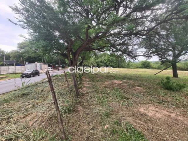 En venta – 2 hectáreas Luque -isla bogado, foto 5