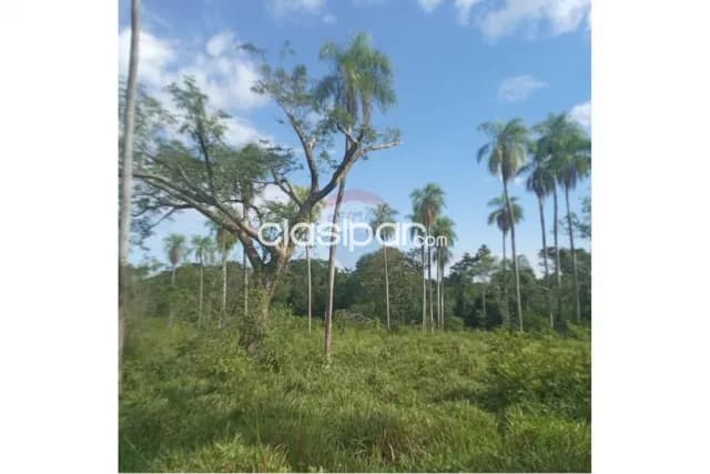 Terreno - Venta - Emboscada, Cordillera!!!, foto 2