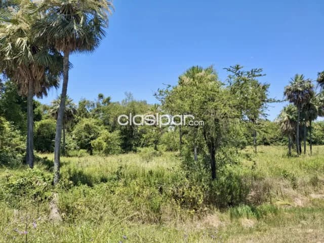 Terreno en Chaco-i - 17 Ha, foto 4