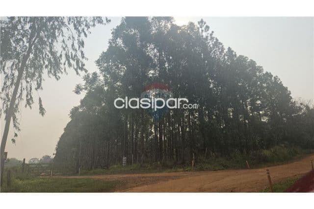 Estancia/Campo - Venta - Itacurubí De La Cordillera, Cordillera, Paraguay