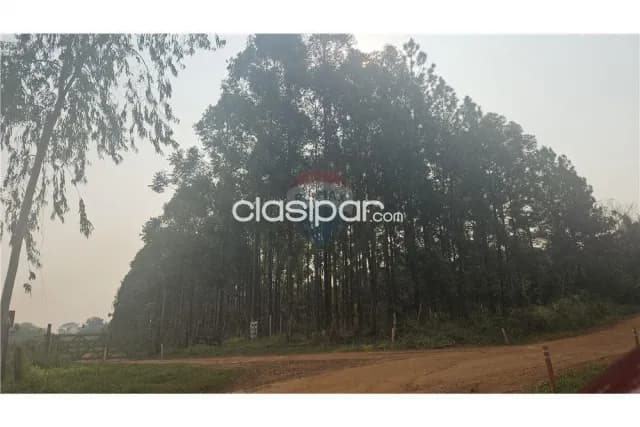 Estancia/Campo - Venta - Itacurubí De La Cordillera, Cordillera, Paraguay, foto 2