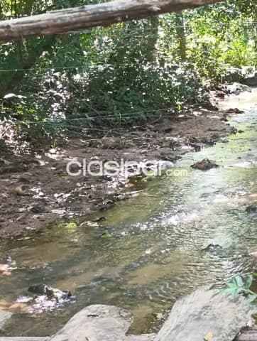 Tu lugar para desconectarte está en Atyrá, foto 4