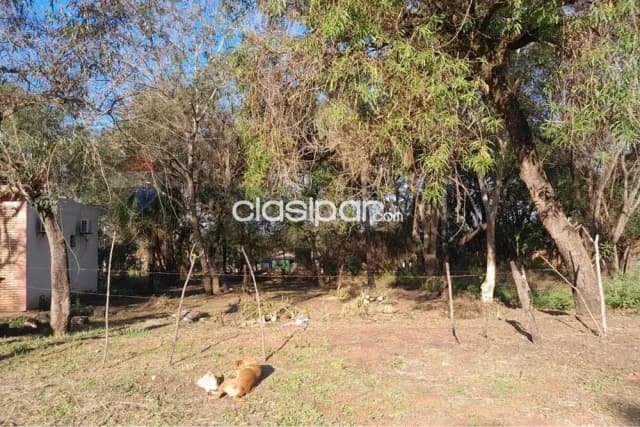 terreno-Cañada Garay-Luque, foto 3