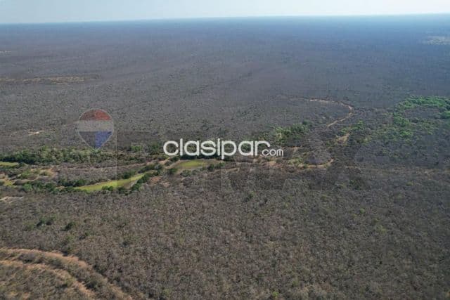 2.017 hectareas en bahia negra-dpto.alto paraguay chaco p/ganaderia y carbono y otro, foto 1