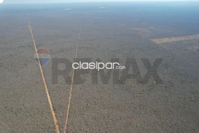 2.017 hectareas en bahia negra-dpto.alto paraguay chaco p/ganaderia y carbono y otro, foto 3