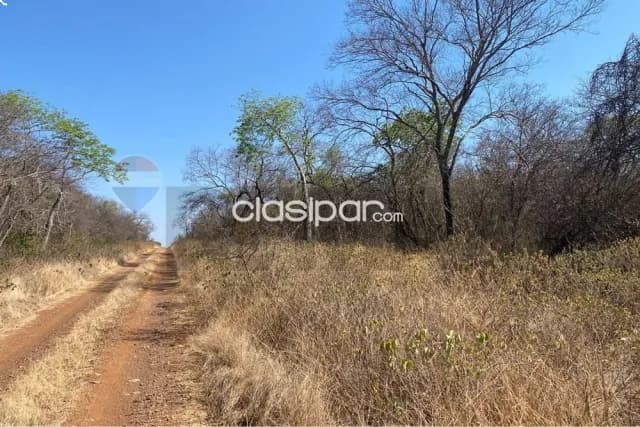 2.017 hectareas en bahia negra-dpto.alto paraguay chaco p/ganaderia y carbono y otro, foto 4