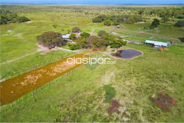 Estancia 483 hectareas en villa franca-ñeembucu a 10 km del centro, foto 4