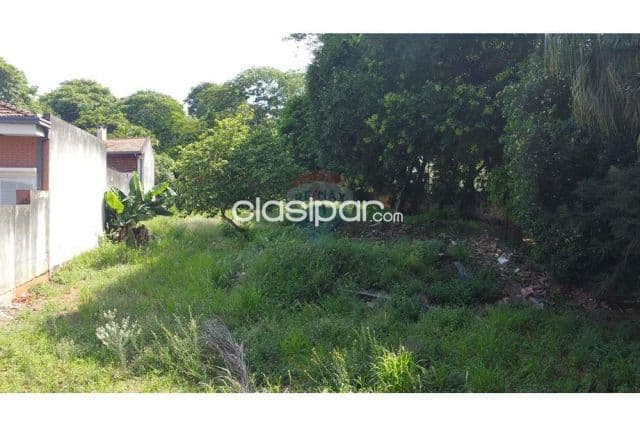 Terreno 2.250 m2 bo.mcal.estigarribia a 100 mtrs de boogiani y superseis ideal p/tod, foto 1