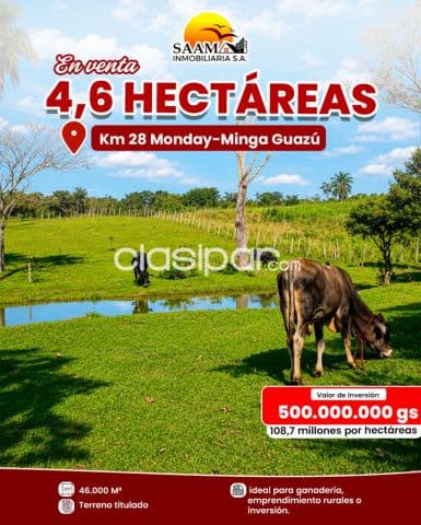 4,6 hectáreas en venta en el km 28 monday para granja, foto 1
