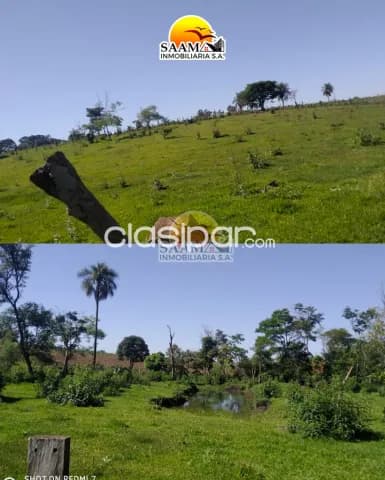 4,6 hectáreas en venta en el km 28 monday para granja, foto 3
