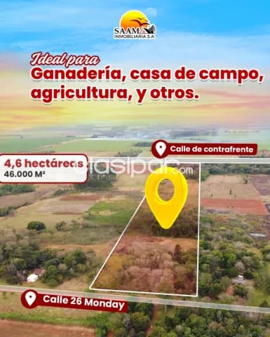 4,6 hectáreas en venta en el km 28 monday para granja, foto 4