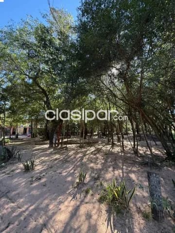 En venta Hectáreas en San Bernardino, foto 4