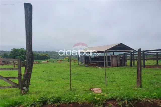 Campo en Venta de 160,8 Hectáreas! Producción Agrícola, Bosque y Renta Inmediata, foto 2